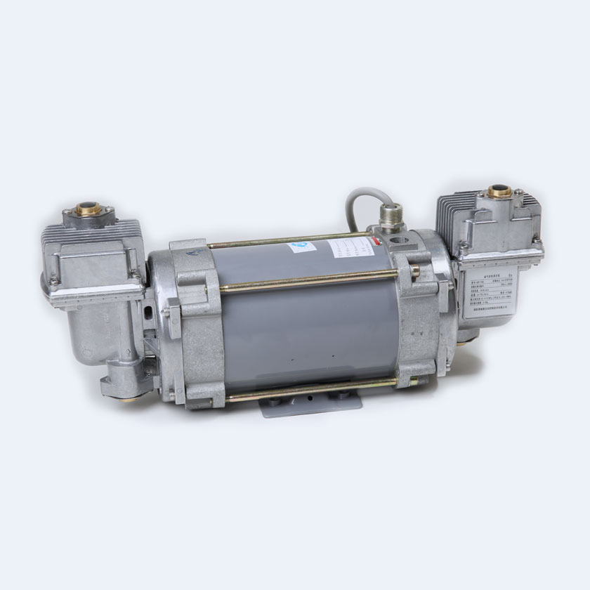 Vapor Recovery Vacuum Pump,double